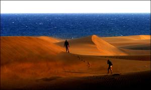Kanaren Yachtcharter: Maspalomas - Sanddünen im Süden von Gran Canaria