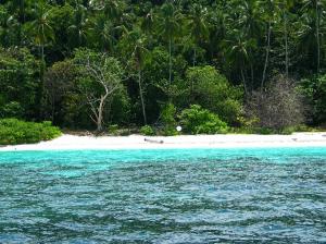 Malaysia Yachtcharter: Einsame Buchten mit nichts als einem Strand und Dschungel dahinter