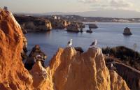 Yacht Charter Portugal: Lagos - Von bizarren Sandsteinformationen flankiert