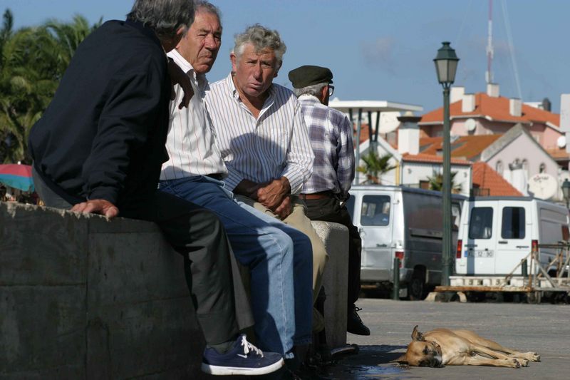 Portugal Charter - Im Hinterland geht das Leben wie eh und je seinen gemächlich-trägen Gang