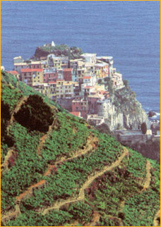 Ligurien Yacht Charter - Cinque Terre: Die fünf Dörfer mit den Hangterrassen sind weltberühmt