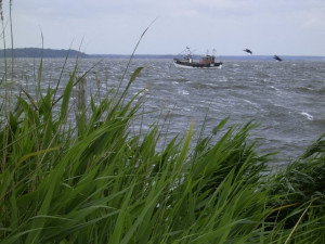 Ostsee Bootscharter: Ungemütlich - Herbststurm mit kalten Ost- und Nord-Ost-Winden