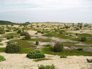 Dänemark Bootscharter - Anholt: Einsame Insel in der Ostsee