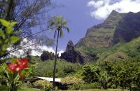 Charter Tahiti: Moorea - Üppige Vegetation und imposante, steil aufragende Berge
