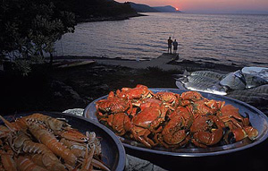 Split / Dalmatien Yachtcharter: Die dalmatinische Küche ist sehr lecker