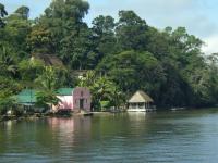 Bootscharter Belize: Segeln auf dem Rio Dulce inmitten des Dschungels