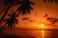 Bootscharter Kleine Antillen: Paradiesische Sonnenuntergänge unter Palmen