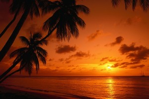 Kleine Antillen Bootscharter - Paradiesische Sonnenuntergänge unter Palmen