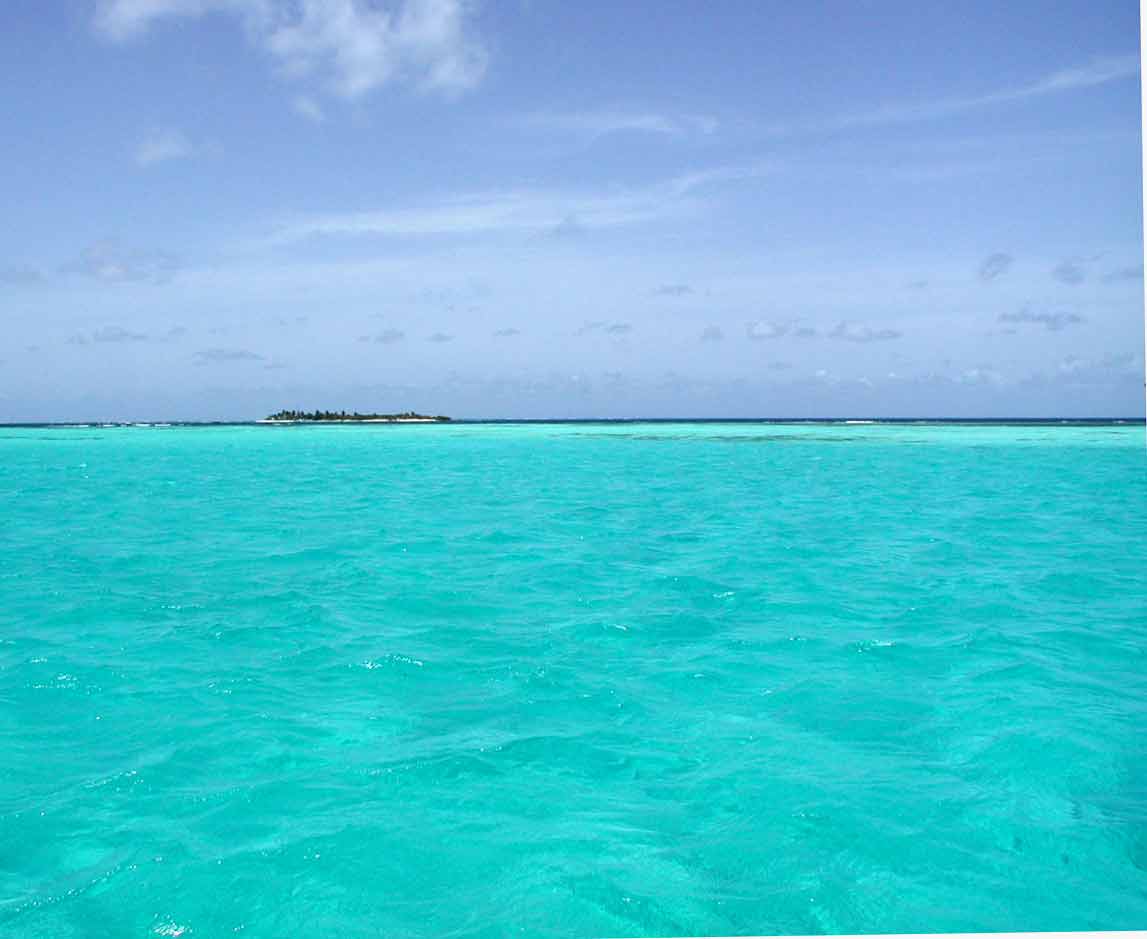 Kleine Antillebn Yacht Charter - Tobago Cays: Die Farbe des Meeres wird immer unglaublicher