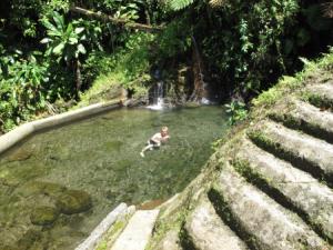Charter Kleine Antillen: Die Ti Tou Gorge auf Dominica ist ein Natur-Planschbecken mit Schlucht und Wasserfall