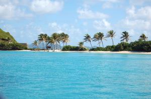 Yachtcharter Kleine Antillen: In den Grenadines wird das Klischee der Karibik wahr
