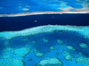 Great Barrier Reef Charterboot - Von den Whitsundays in ein bis zwei Segelstunden zu erreichen