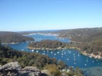 Yachtcharter Sydney - Pittwater: Blaue Lagunen zwischen Eukalyptuswäldern
