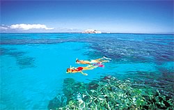 Great Barrier Reef Yachtcharter - Schnorcheln: Viele Inseln der Whitsundays sind von Riffen umgeben