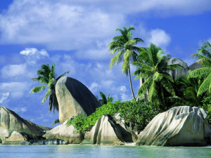 Seychellen Charter - Es ist die Natur, die den Reichtum der Inseln ausmacht