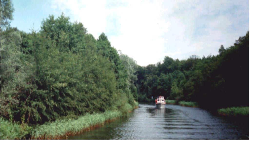 Mecklenburg Charter - Landschaftlich wunderschön: Die Wasserwege und Kanäle rund um die Müritz