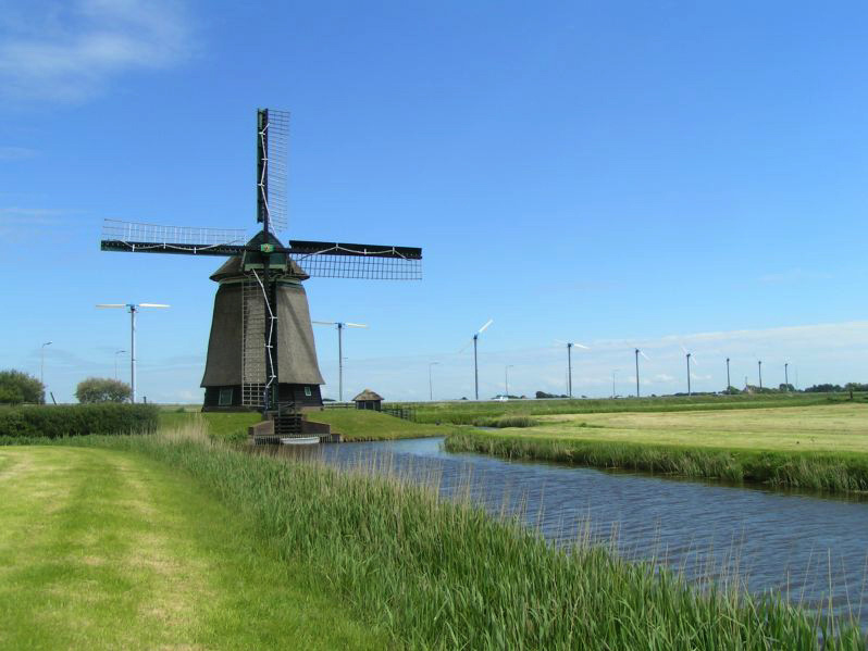 IJsselmeer Jachtcharter - Rechts und links neben den Kanälen sind Blumenwiesen